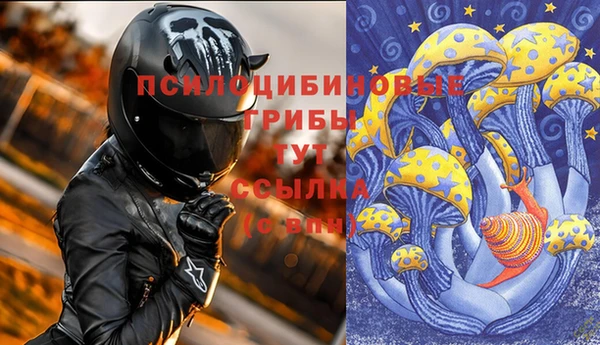 меф Ладушкин
